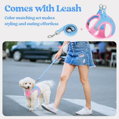 rabbitgoo Dog Harness Medium Sized and Leash Set, Step-in Puppy Pet Vest - Image 5