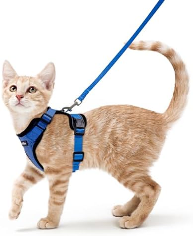 rabbitgoo Cat Harness and Leash Set, Escape Proof Vest by rabbitgoo