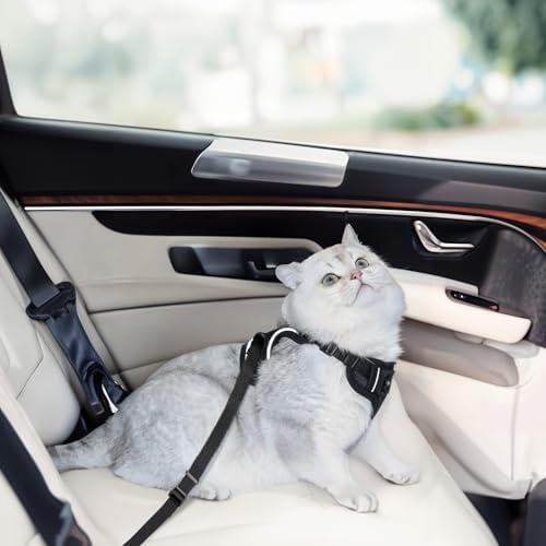 Cat Harness and Leash Set for Walking Escape Proof, Improved Four Place - Image 5