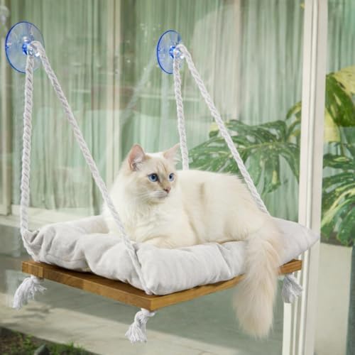 Cat Window Perch, Indoor Hammock Bed by Unknown