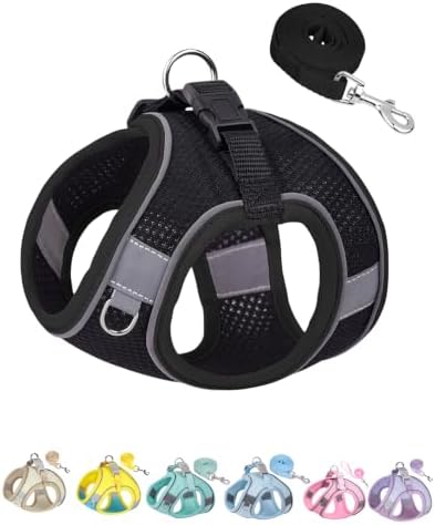 Solmoony Dog Harness for Small Medium Dogs No Pull, Puppy Harness and Leash Set by SOLMOONY