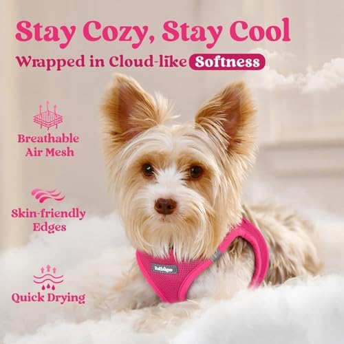 rabbitgoo Step-in Small Dog Harness, Puppy Vest - Image 3