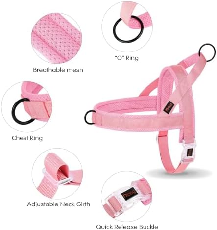 Didog No Pull Dog Harness with Breathable Mesh Padded, Quick Fit & Easy on Dog - Image 5