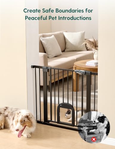 Babelio Extra Wide Dog Gate - Image 4