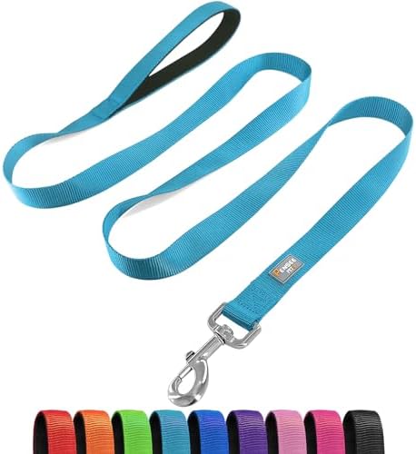 6 FT Reflective Dog Leash for Medium Dogs, Sky Blue by Penseepet
