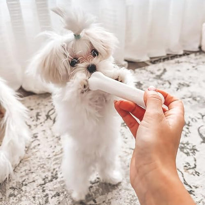 Nylabone New Puppy Starter Kit, Puppy Teething Toys, 3 Pack - Image 2