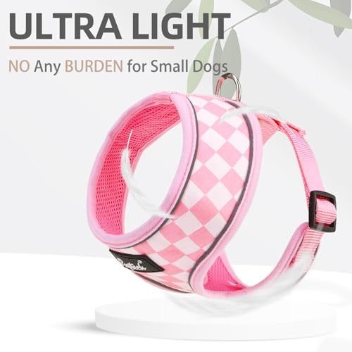 PUPTECK Small Dog Harness and Leash Set No Pull - Image 5
