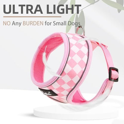 PUPTECK Small Dog Harness and Leash Set No Pull - Image 5