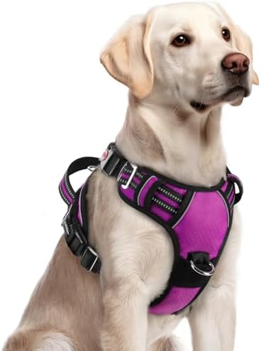 rabbitgoo Dog Harness for Large, No Pull 3 Buckles Easy On & Off by rabbitgoo