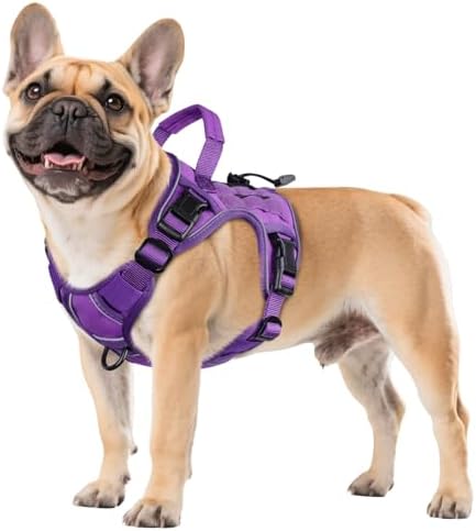 WINGOIN Purple Tactical Dog Harness by WINGOIN