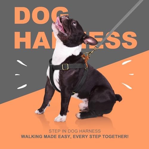Didog Step in Dog Harnes for Medium Dogs, Chest 19-28" - Image 5
