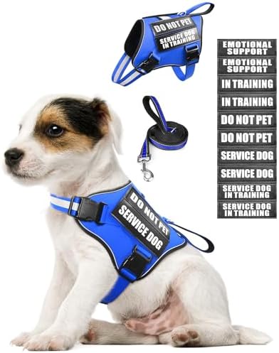 Small Service Dog Vest Harness and Leash Set+10 Patches Blue XS by MOOGROUPETSFRIEND