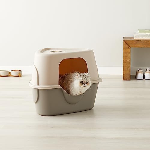 Amazon Basics Cat Litter Box - Image 5