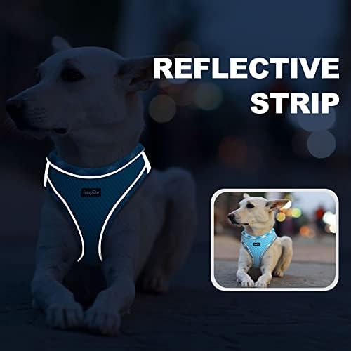 haapaw Dog Harness with Leash Set, No Pull Adjustable Reflective Step-in Puppy - Image 5