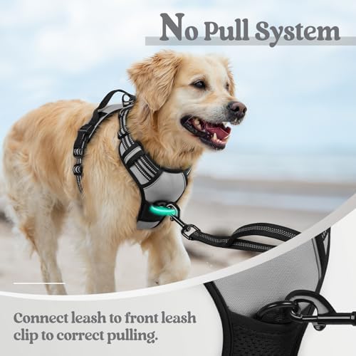 rabbitgoo Dog Harness, No Pull for Small Dogs - Image 5