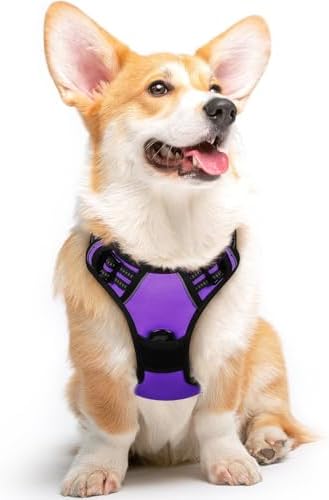 Eagloo Dog Harness for Medium Sized Dogs, No Pull Vest by GoExplorewithEagloo