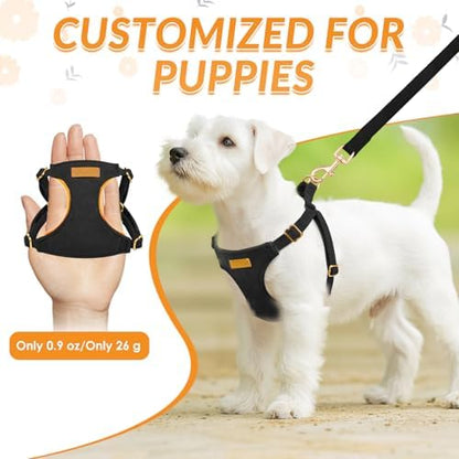 SlowTon No Pull Dog Harness - Image 2