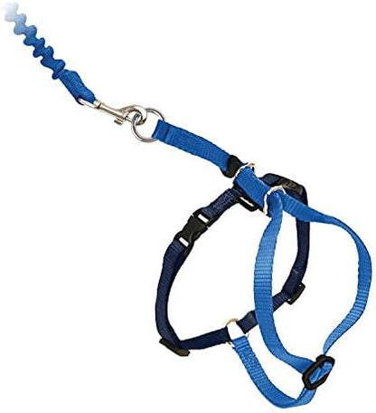 PetSafe Come with Me Kitty Harness and Bungee Cat Leash, Royal Blue - Image 4