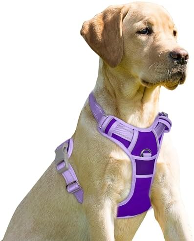 BARKBAY Dog Harness No Pull for Large Dogs Front Back Clips, Dog Vest by BARKBAY