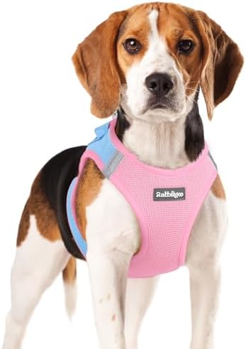 rabbitgoo Step-in Small Dog Harness, Puppy Vest by rabbitgoo