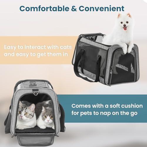 PETSFIT Large Cat Car Carrier - Image 6