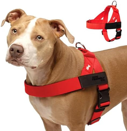 Dog Friendly Co. Dog Harness for Large Dogs by DogFriendly