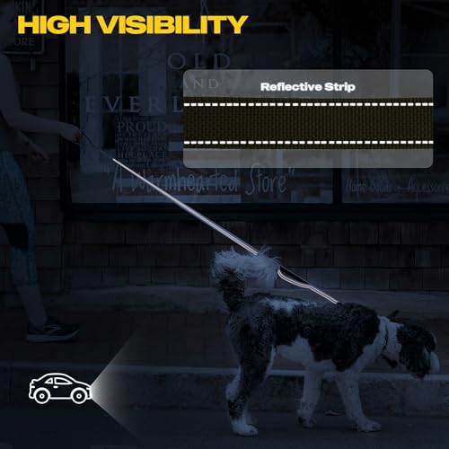 Fida 10 FT Heavy Duty Dog Leash, Dual Padded Handles - Image 5