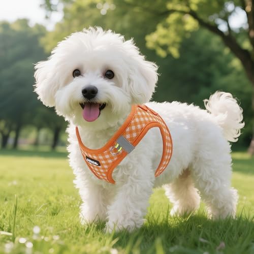 AIITLE Step in Small Dog Harness and Leash Set, Puppy Pet Vest - Image 5