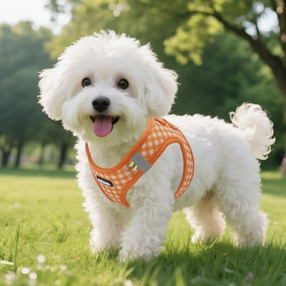 AIITLE Step in Small Dog Harness and Leash Set, Puppy Pet Vest - Image 5