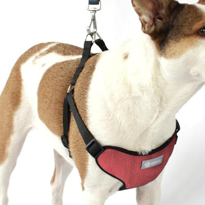 AKC Striped Step-in Dog Harness – No Pull Adjustable Vest - Image 4