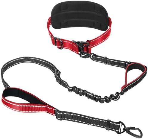 Hands Free Waist Dog Leash, 6-8FT Bungee Leash by PawistaPal