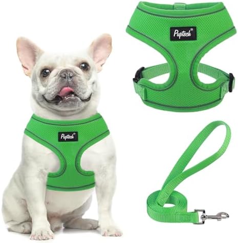 PUPTECK Small Dog Harness and Leash Set No Pull by PUPTECK