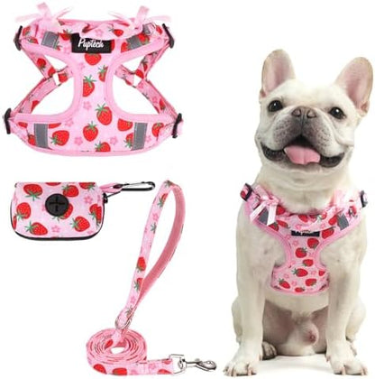 PUPTECK Dog Harness and Leash Set Medium Sized, Step in No Pull Adjustable by PUPTECK