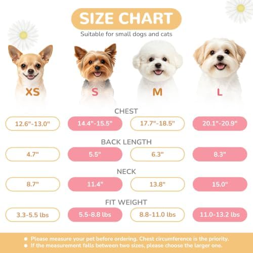 BAEJMJK Dog Harness and Leash Set - Image 4