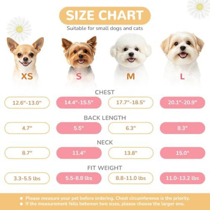 BAEJMJK Dog Harness and Leash Set - Image 4