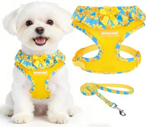 EXPAWLORER Step-in Dog Harness Small Sized and Leash Set by EXPAWLORER