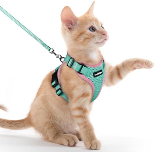 rabbitgoo Cat Harness and Leash Set, Escape Proof Vest by rabbitgoo