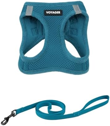 Voyager Step-in Air Cat Harness & Leash Set by BestPetSuppliesLLC