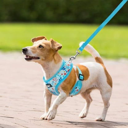PUPTECK Small Dog Harness and Leash Set No Pull - Image 6