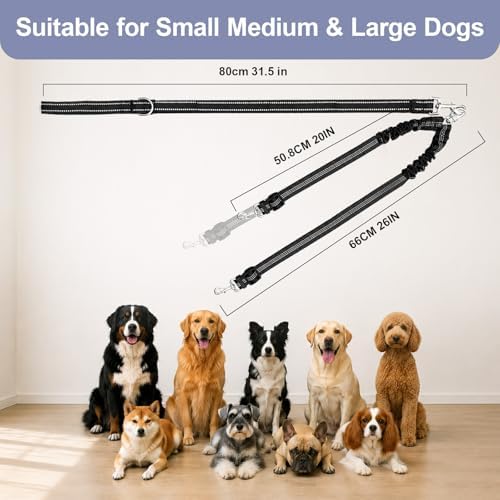 Double Dog Leash Padded Handle 360°Swivel No Tangle Dual Leash - Image 7