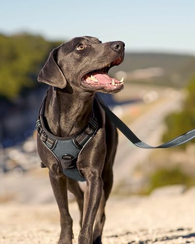Joytale No Pull Dog Harness for Large Dogs, Front Clip - Image 6