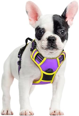 rabbitgoo Dog Harness, No Pull for Small Dogs by rabbitgoo