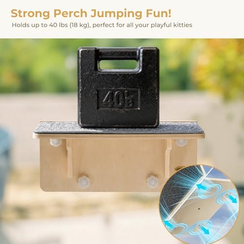 Pecute 2-in-1 Cat Window Perch & Wall Shelves, Cat Hammock Window 16"x10" - Image 5