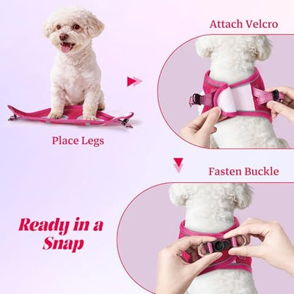 No Pull Dog Puppy Harness and Leash Set Reflective Mesh Vest XX-Small - Image 4