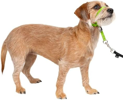 PetSafe Gentle Leader No-Pull Dog Headcollar by PetSafe