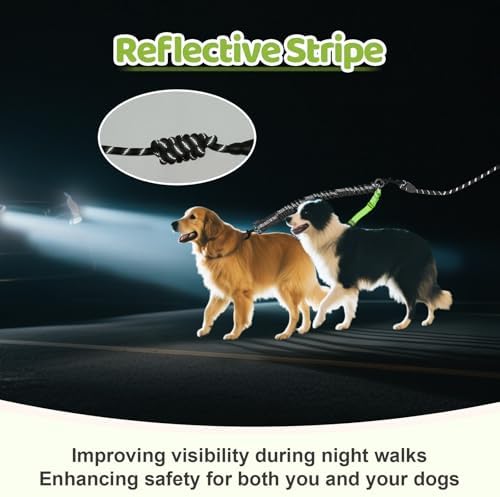Double Dog Leash - Image 6