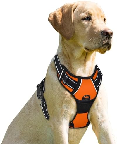 BARKBAY Dog Harness No Pull for Small Sized Dog Front Back Clips, Dog Vest by BARKBAY