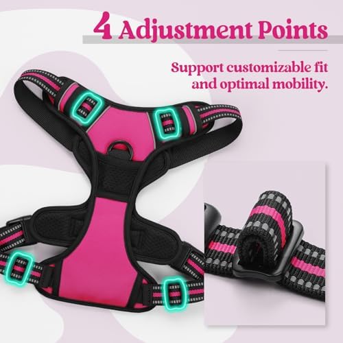 rabbitgoo Dog Harness, No Pull for Small Dogs - Image 4