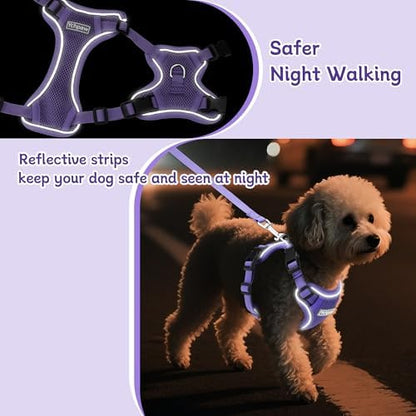 Small Dog Harness and Leash Set, Adjustable Small Sized Pet Vest - Image 4