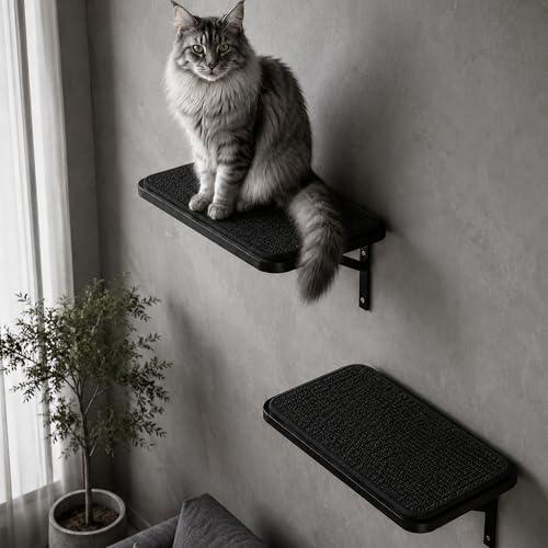 Cat Wall Shelves Set of 2 by PELUOMOZ
